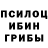 Псилоцибиновые грибы мицелий MurcciGang