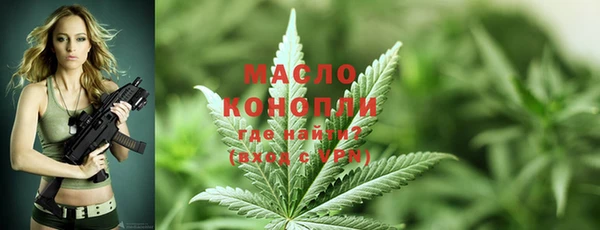 дмт Надым