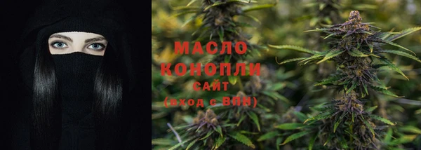 дмт Надым