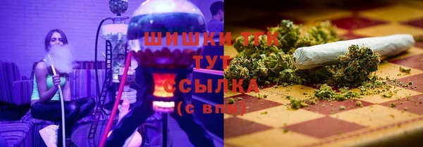 дмт Надым